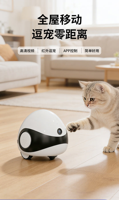 Smart Laser Cat Teaser Camera Wireless Remote Companion for Pets Cross-Border Hot-Selling Pet Monitoring Factory Wholesale