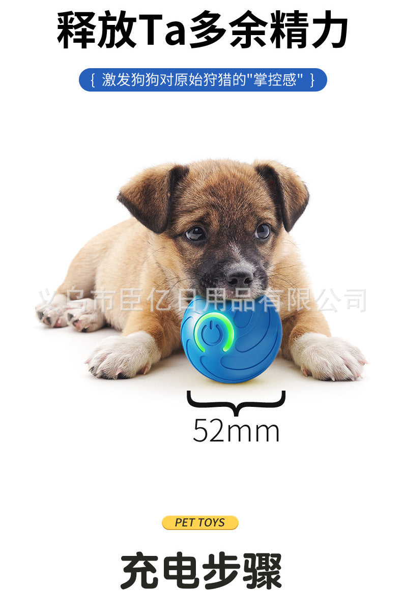 Cross-Border Cat Teaser Ball Pet Toy Ball Dog and Cat Self-Entertainment Boredom-Relief Gadget Pet Toy Cat Toy Pet Supplies