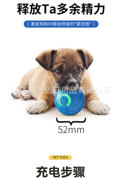 Cross-Border Cat Teaser Ball Pet Toy Ball Dog and Cat Self-Entertainment Boredom-Relief Gadget Pet Toy Cat Toy Pet Supplies