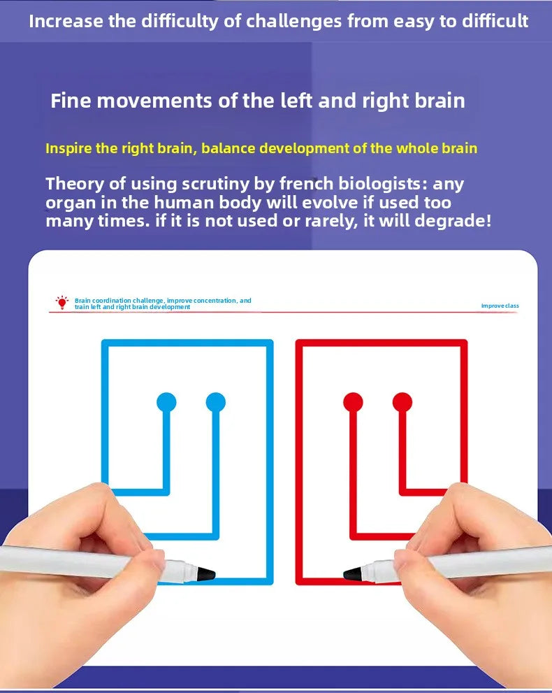 Hand-Brain Coordination Action Practice Development Set Used for Overall Brain Balance Attention Improvement Tool