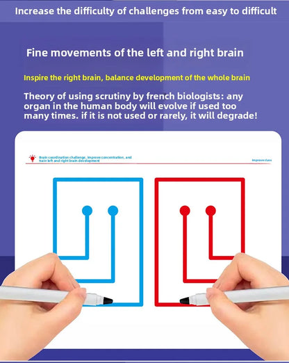 Hand-Brain Coordination Action Practice Development Set Used for Overall Brain Balance Attention Improvement Tool