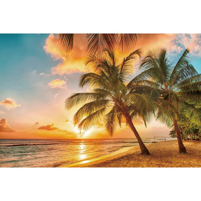 MOON.QG Tropical Summer Beach Background Photography Sunset Ocean Backdrop Newborn Photozone Wedding Accessories Shooting Props