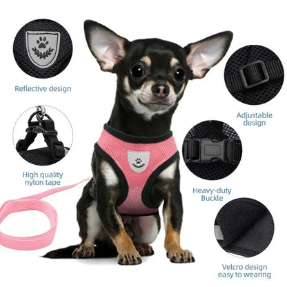 Premium Adjustable Cat & Dog Harness Vest with Leash - Breathable Mesh Pet Walking Collar for Small to Medium Pets