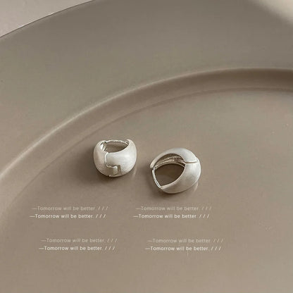 Trendy Brushed Matte Texture Geometric Earrings for Women Japanese and Korean Fashion Temperament Light Luxury Versatile Earring