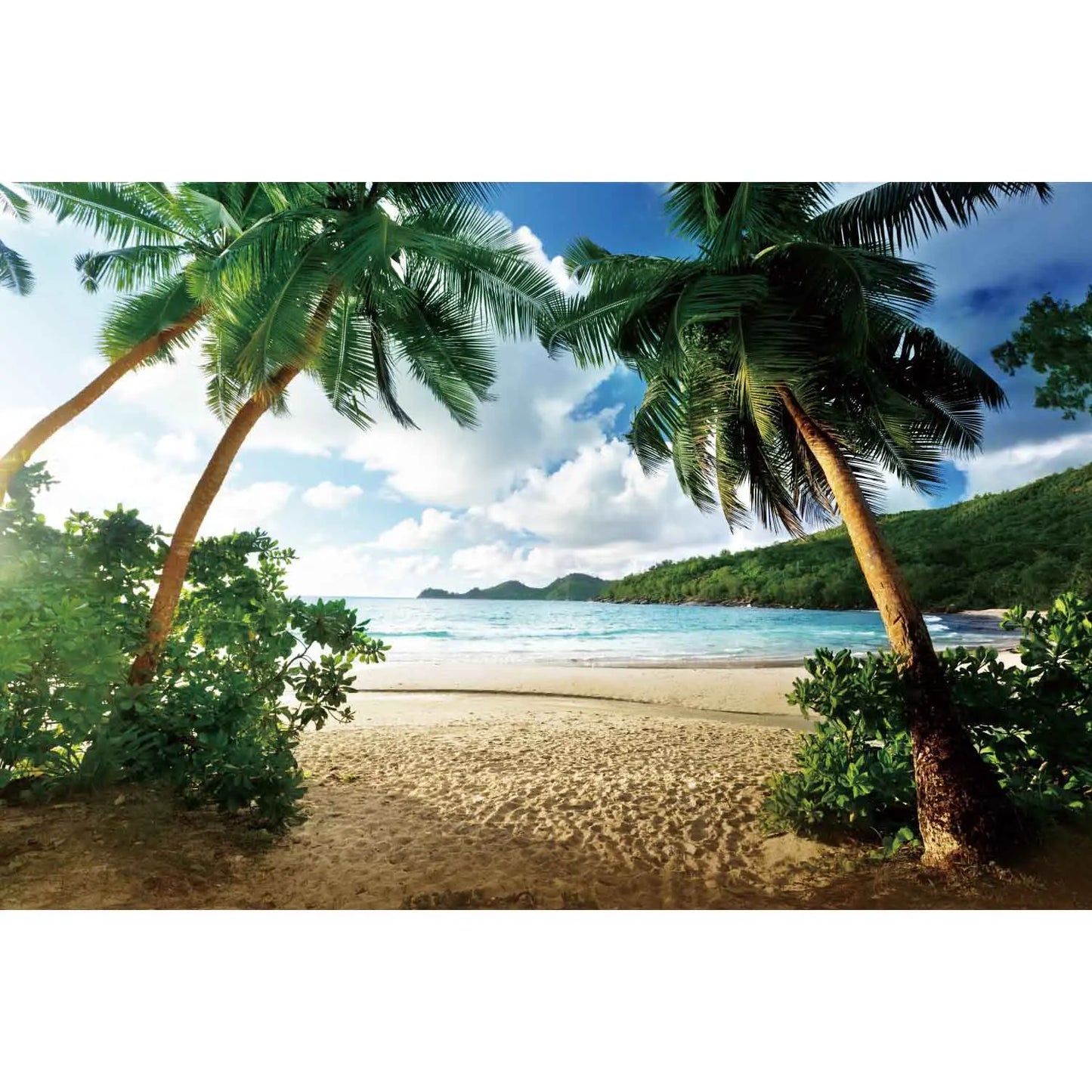 MOON.QG Tropical Summer Beach Background Photography Sunset Ocean Backdrop Newborn Photozone Wedding Accessories Shooting Props