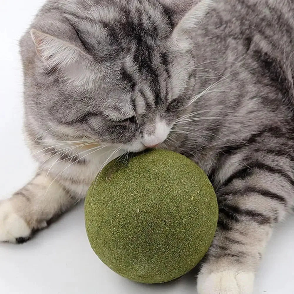 10cm Super Large Catnip Ball Lickable Natural Catnip Toys Self-Hi Relieving Stuffy For Cat Kitten Indoor Outdoor Playing Cat Toy