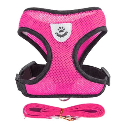 Premium Adjustable Cat & Dog Harness Vest with Leash - Breathable Mesh Pet Walking Collar for Small to Medium Pets