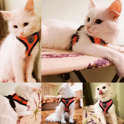 Premium Adjustable Cat & Dog Harness Vest with Leash - Breathable Mesh Pet Walking Collar for Small to Medium Pets