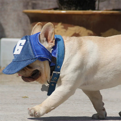 Dog Hat Dog Sunscreen Hat Baseball Cap Outdoor Sports Hat with Ear Holes Adjustable Pet Hat for Small and Medium Dog Large Dogs