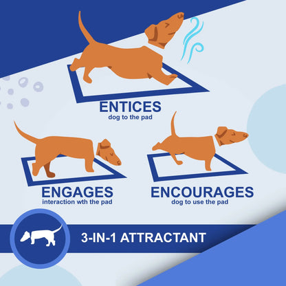 Dog Pee Pad, Puppy Potty Training Pet Pads Dog Pads Extra Large Disposable Super Absorbent & Leak-Free Pee Pads