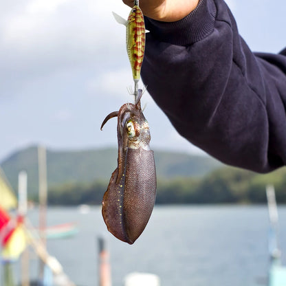 Horizontal wood Shrimp 5.5g Laser Luminous Floating Egi lure Squid Jigging Shrimp Octopus Cuttlefish Night Fishing Baits Sea