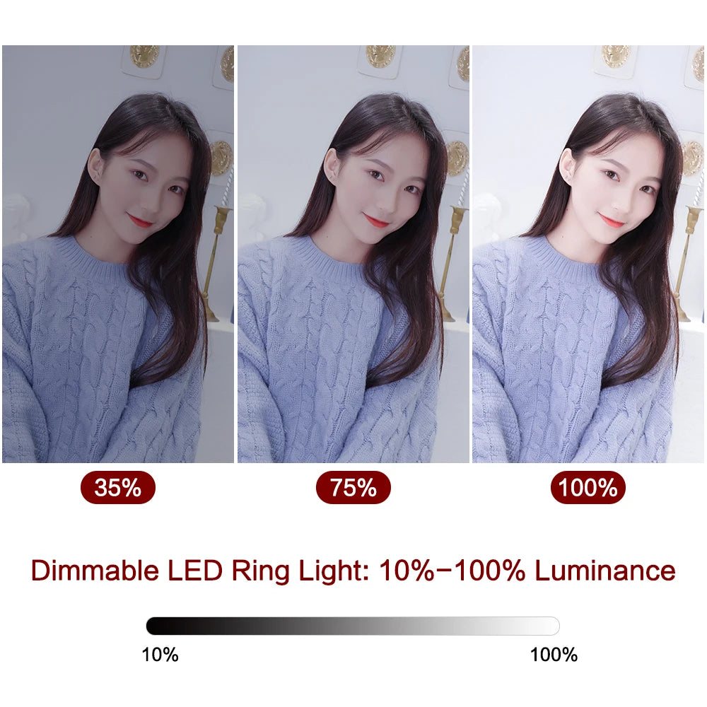 26cm 10 inch Led Ring Selfie Light Dimmable Photography Lighting Kit Usb Charge Lamp With Tripod For Live Video 120 Lamp Beads