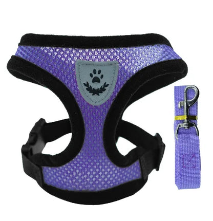 Premium Adjustable Cat & Dog Harness Vest with Leash - Breathable Mesh Pet Walking Collar for Small to Medium Pets