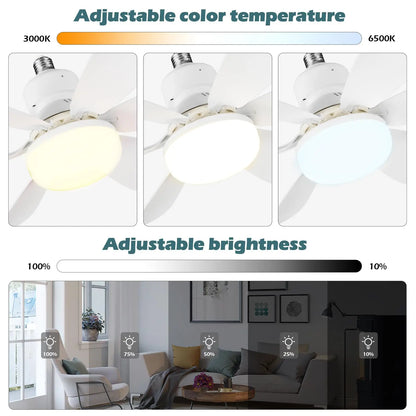 IRALAN Modern ceiling led light fan 52CM 42CM silent with remote control ceiling fan lamp for room office study kitchen