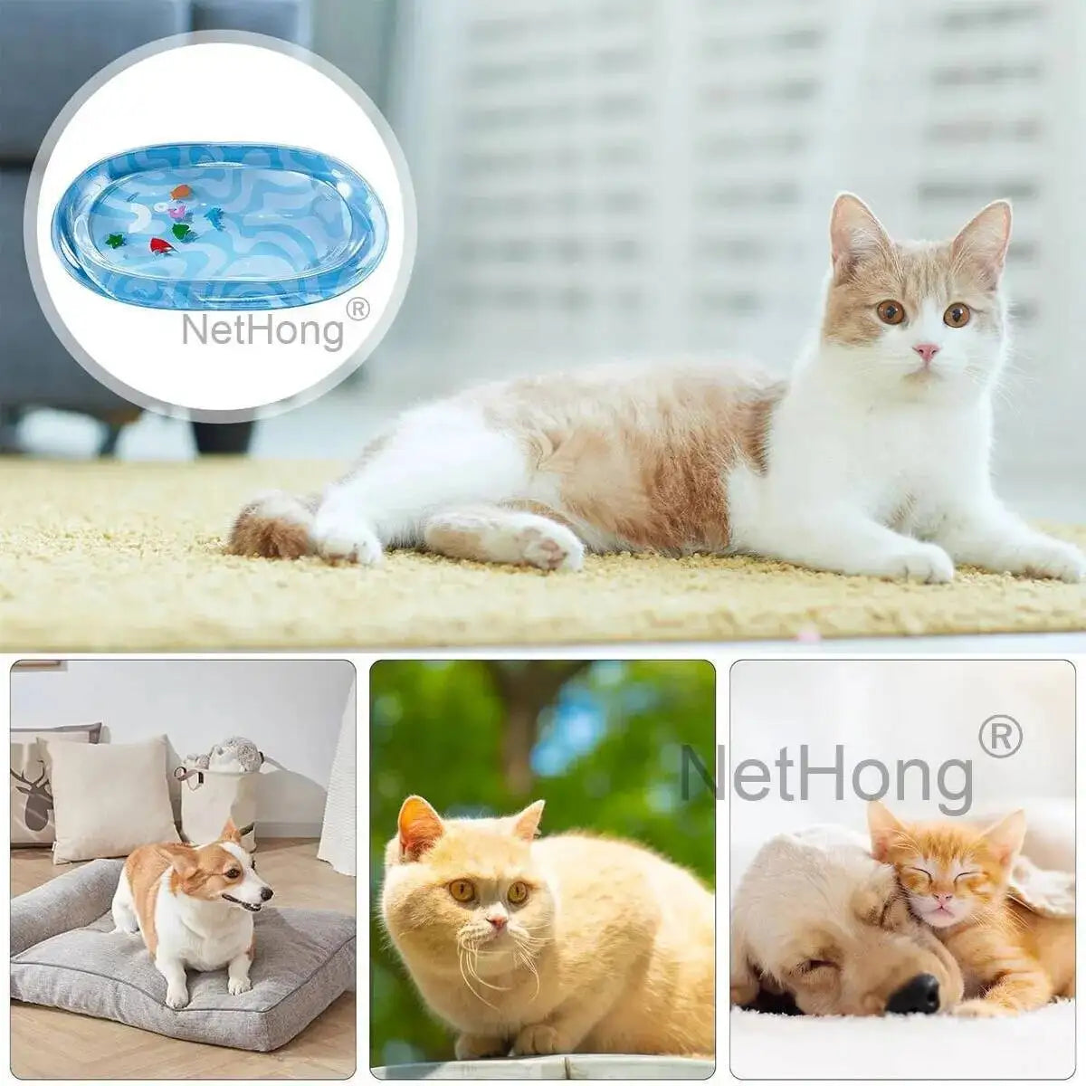 Tummy Time Mat Iatable Summer Cooling Pet Water Bed Cushion For Cats