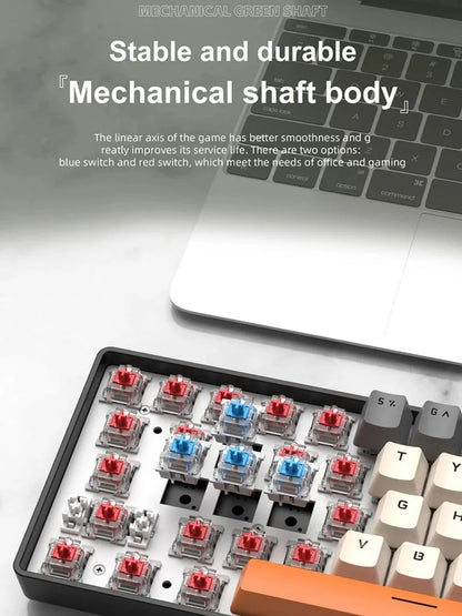APAYADO K61 Keyboard 60% Portable Wired Mechanical Keyboard Wired 61 Keys Phantom RGB
