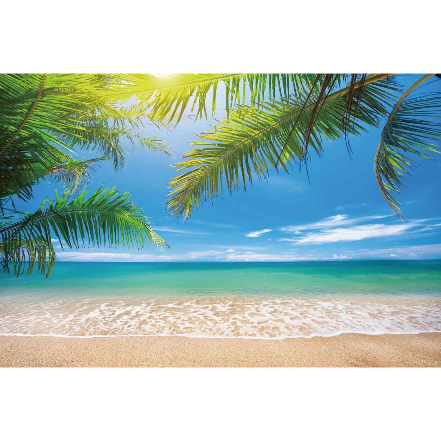 MOON.QG Tropical Summer Beach Background Photography Sunset Ocean Backdrop Newborn Photozone Wedding Accessories Shooting Props