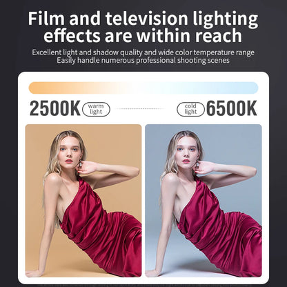 ZU80/ZU60 Photo Studio Light COB Bi-Color 2500-8500K CRI≥95 TLCI≥97 With Diffuser LED Video Lights Fill Lighting