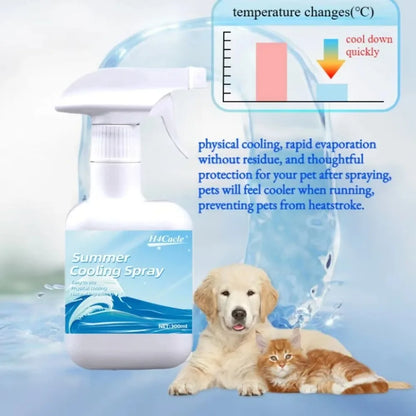 Summer Cooling Spray Car Seat Coolant Hot Days Interior Household Pool Courtyard Outdoor SportsPet Shoes Quick Cooling Agent