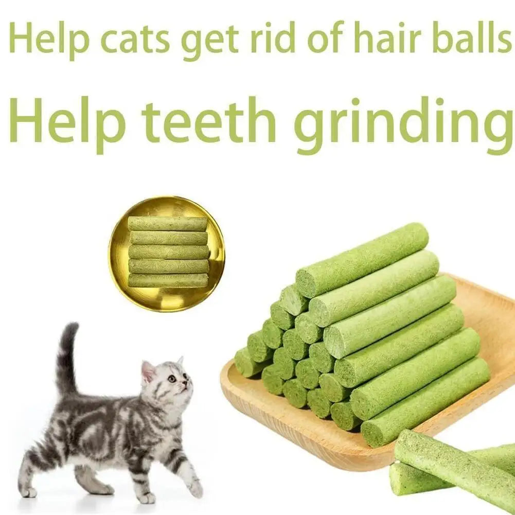 Teething Natural Grass Molar Rod Chew Stic For Cat