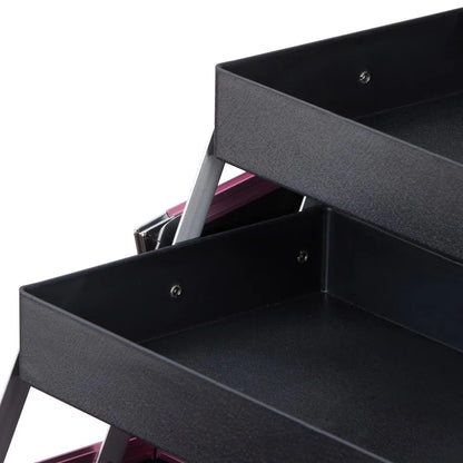 Modishion Professional Makeup Case Portable Makeup Case 2 Trays with Mirror Makeup Tool Storage Box Travel Makeup Case