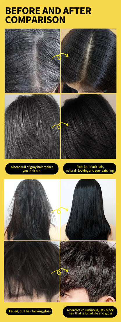 Ginger Black Hair Dye Shampoo 500ml Diy Herbal Coloring Hairs Instant Gray To Black Instant Coloring Shampoo For Women&Men