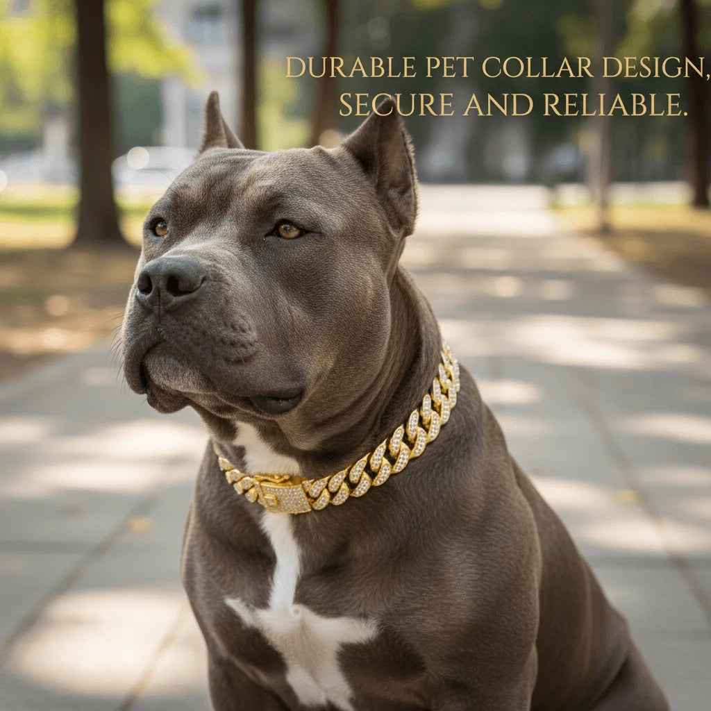 Luxury Hip Hop Dog Collar, Gold Tone Stainless Steel Cuban Chain, Durable Diamond Inlaid Pet Jewelry for Daily Walking