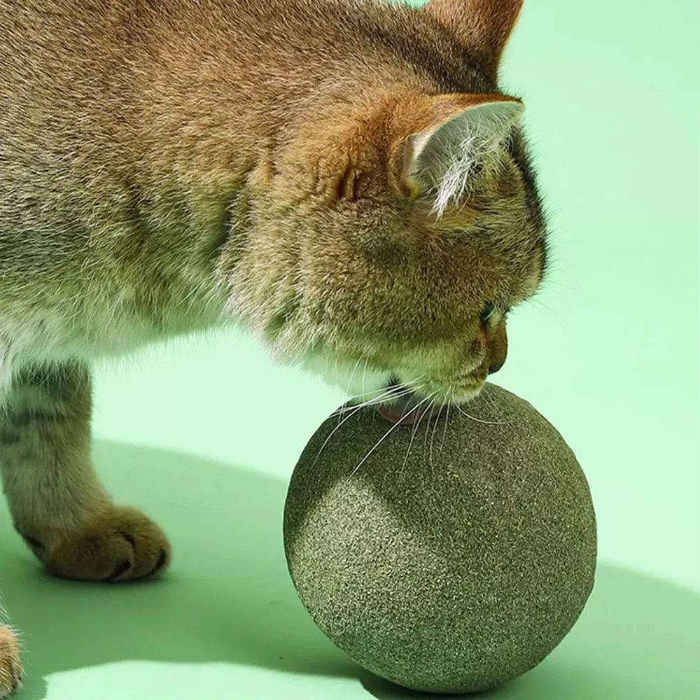 10cm Super Large Catnip Ball Lickable Natural Catnip Toys Self-Hi Relieving Stuffy For Cat Kitten Indoor Outdoor Playing Cat Toy