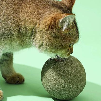 10cm Super Large Catnip Ball Lickable Natural Catnip Toys Self-Hi Relieving Stuffy For Cat Kitten Indoor Outdoor Playing Cat Toy