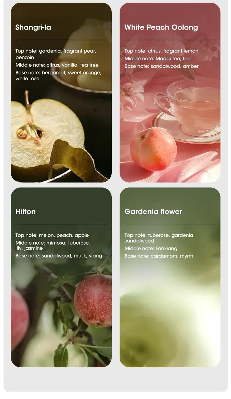 Mini Aroma Diffuser USB Plant Essential Oil Diffuser Home Car Aromatherapy Machine Toilet Office Air Purification Nebulizer