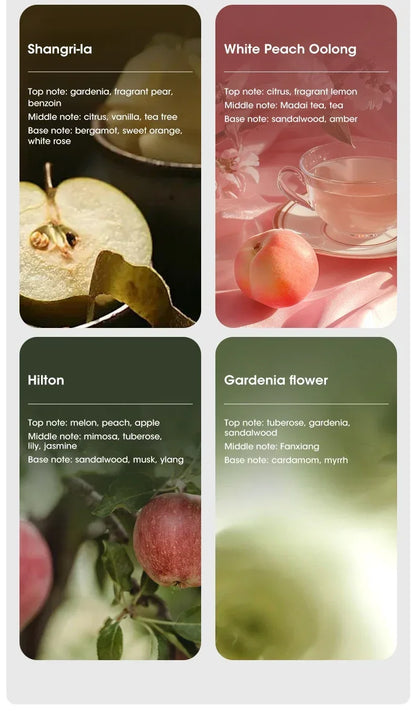 Mini Aroma Diffuser USB Plant Essential Oil Diffuser Home Car Aromatherapy Machine Toilet Office Air Purification Nebulizer