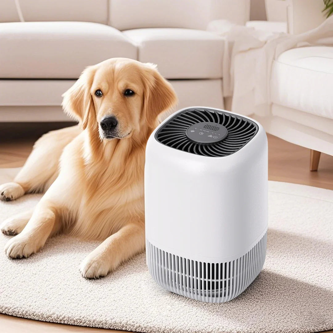Air Purifiers for Bedroom Home, Air Filter Cleaner with Fragrance Sponge, HEPA Filter for Smoke, Allergies, Pollen, Pet Timer