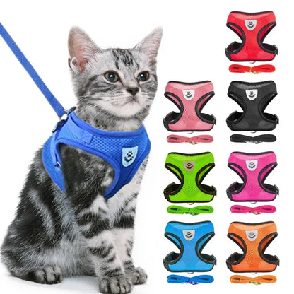 Premium Adjustable Cat & Dog Harness Vest with Leash - Breathable Mesh Pet Walking Collar for Small to Medium Pets