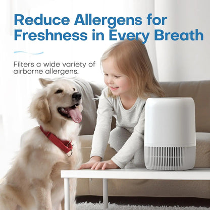 Air Purifiers for Bedroom Home, Air Filter Cleaner with Fragrance Sponge, HEPA Filter for Smoke, Allergies, Pollen, Pet Timer