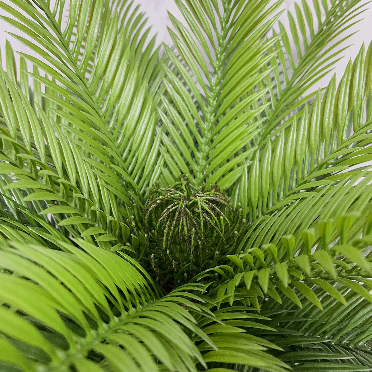 HXGYZP Coconut Palm Artificial Plant Potted Large Tropical Tree With Black Plastic Pot Indoor Outdoor Home Decoration Plants