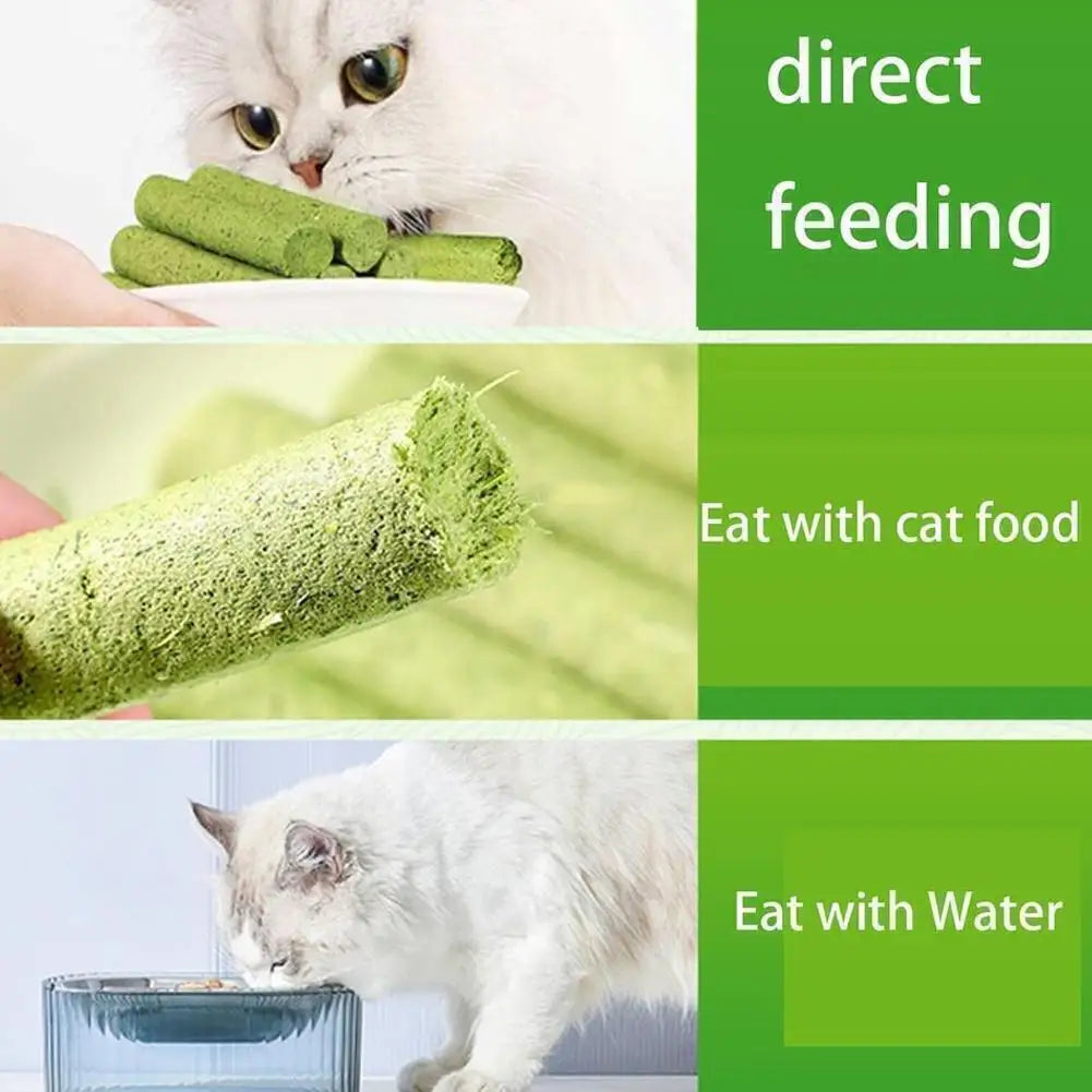 Teething Natural Grass Molar Rod Chew Stic For Cat