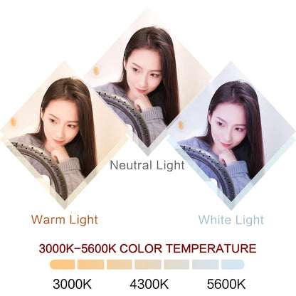 26cm 10 inch Led Ring Selfie Light Dimmable Photography Lighting Kit Usb Charge Lamp With Tripod For Live Video 120 Lamp Beads