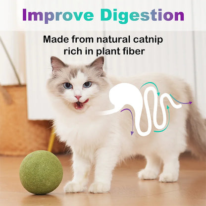 10cm Super Large Catnip Ball Lickable Natural Catnip Toys Self-Hi Relieving Stuffy For Cat Kitten Indoor Outdoor Playing Cat Toy