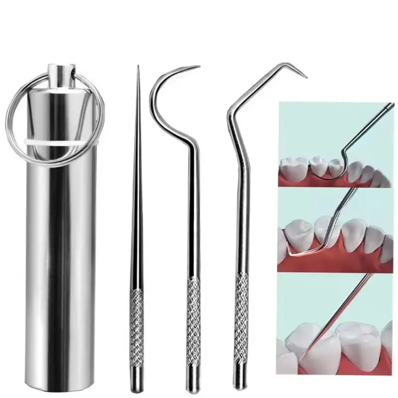 Stainless Steel Toothpicks Pocket Set, Portable Floss Pick Reusable Metal Toothpicks Tooth Cleaning Kit With Keychain Holder