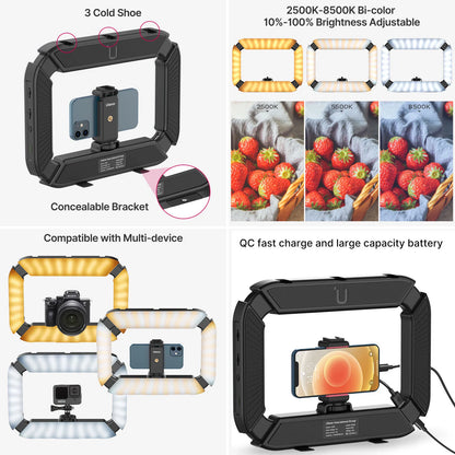Ulanzi U200 U-200 Smartphone Video Rig  LED Video Light 2 in 1 Ring Light Cold Shoe for Microphone Tiktok Youtube Live Rig Light