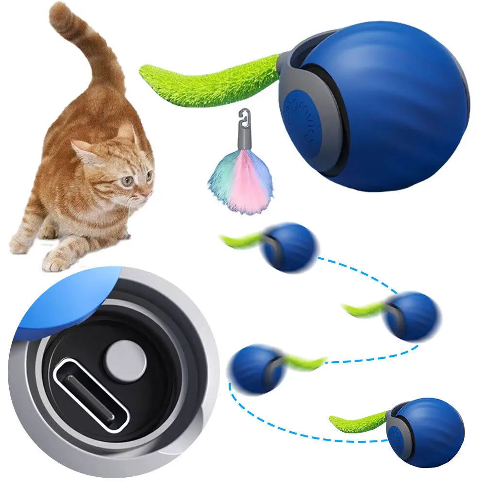 2.0, Speedy Tail Interactive Toy, Smart Cat Rolg Ball UK