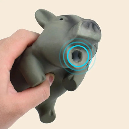 1PC Rubber Sound Pig Grunting Squeak Latex Pet Chew Toys for Dog Squeaker Chew Training Puppy Supplies Pet Products