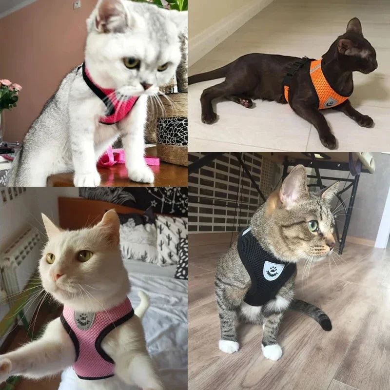 Premium Adjustable Cat & Dog Harness Vest with Leash - Breathable Mesh Pet Walking Collar for Small to Medium Pets