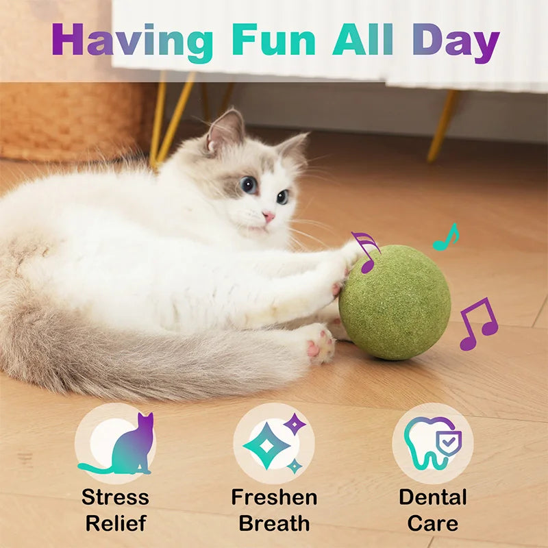 10cm Super Large Catnip Ball Lickable Natural Catnip Toys Self-Hi Relieving Stuffy For Cat Kitten Indoor Outdoor Playing Cat Toy