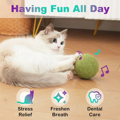 10cm Super Large Catnip Ball Lickable Natural Catnip Toys Self-Hi Relieving Stuffy For Cat Kitten Indoor Outdoor Playing Cat Toy