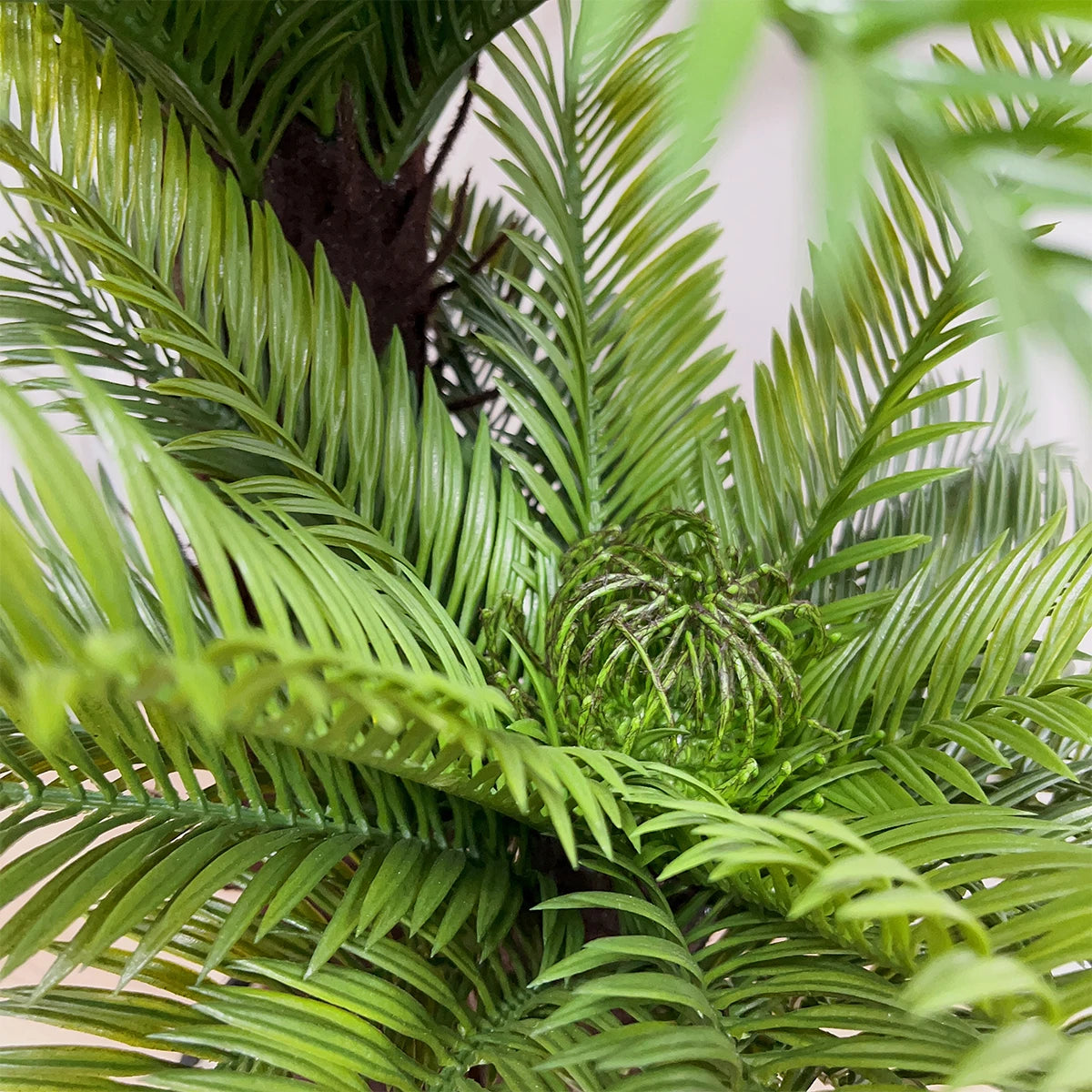 HXGYZP Coconut Palm Artificial Plant Potted Large Tropical Tree With Black Plastic Pot Indoor Outdoor Home Decoration Plants