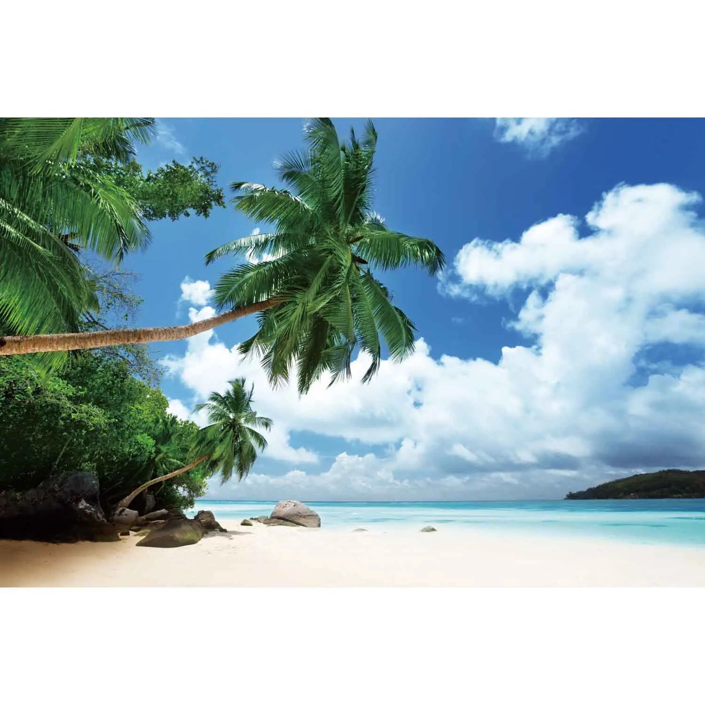 MOON.QG Tropical Summer Beach Background Photography Sunset Ocean Backdrop Newborn Photozone Wedding Accessories Shooting Props