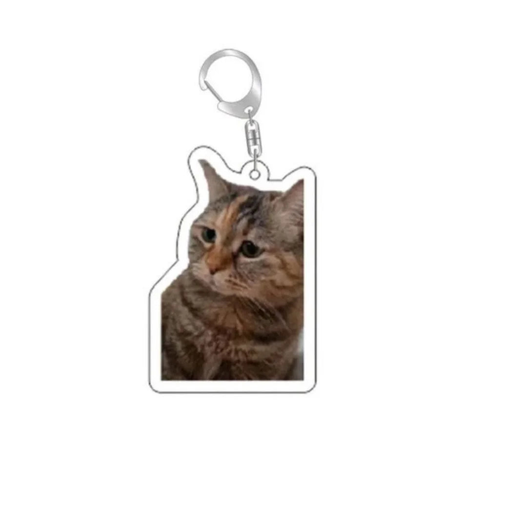Huh Cat Keychain Meme Keychain  Fanny Cat Keyring Talking Cats Confused Cat Pandant Cute Gift