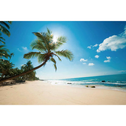 MOON.QG Tropical Summer Beach Background Photography Sunset Ocean Backdrop Newborn Photozone Wedding Accessories Shooting Props
