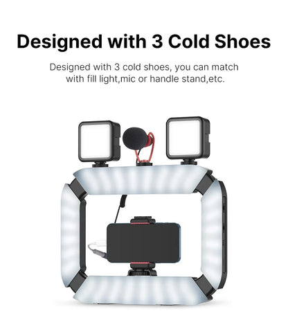 Ulanzi U200 U-200 Smartphone Video Rig  LED Video Light 2 in 1 Ring Light Cold Shoe for Microphone Tiktok Youtube Live Rig Light